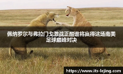 乐竞体育APP