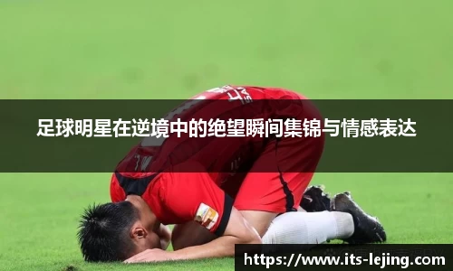 乐竞体育官方网站